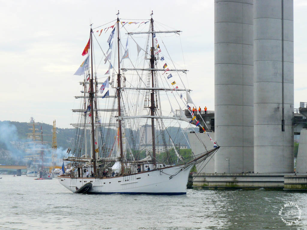 L'Armada des Voiliers et des hommes - ROUEN (19)