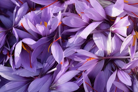 ╰⊱♥⊱╮ღ꧁   Département  37   ꧂ღ╭⊱♥≺