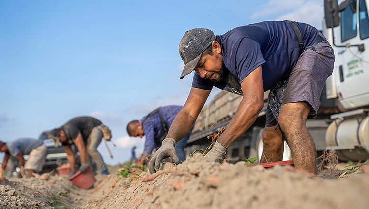 travailleurs agricoles