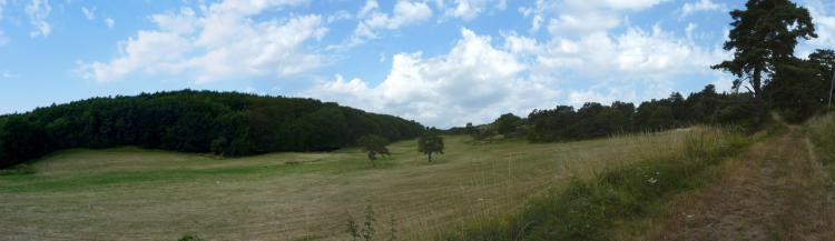 Paysage champêtre