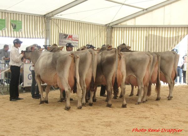 Les Journées Châtillonnaises 2015