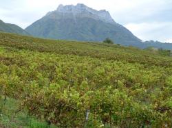 Méli mélo d'Automne 