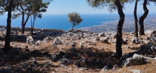 Les chemins de traverse 1/2