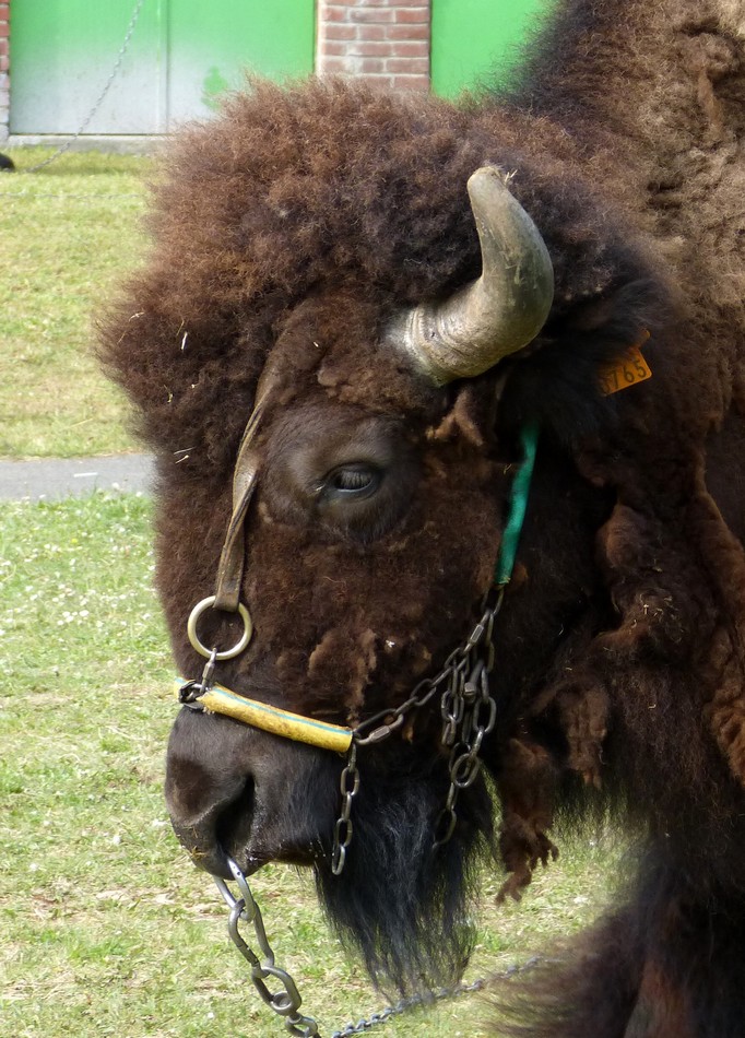 Animation dans mon quartier