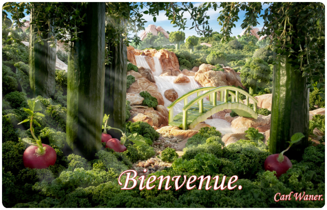 Une Grande Imagination.