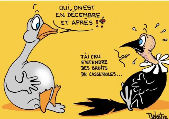 les oies, les dindes et les chapons  n'en mènent pas large ce soir....