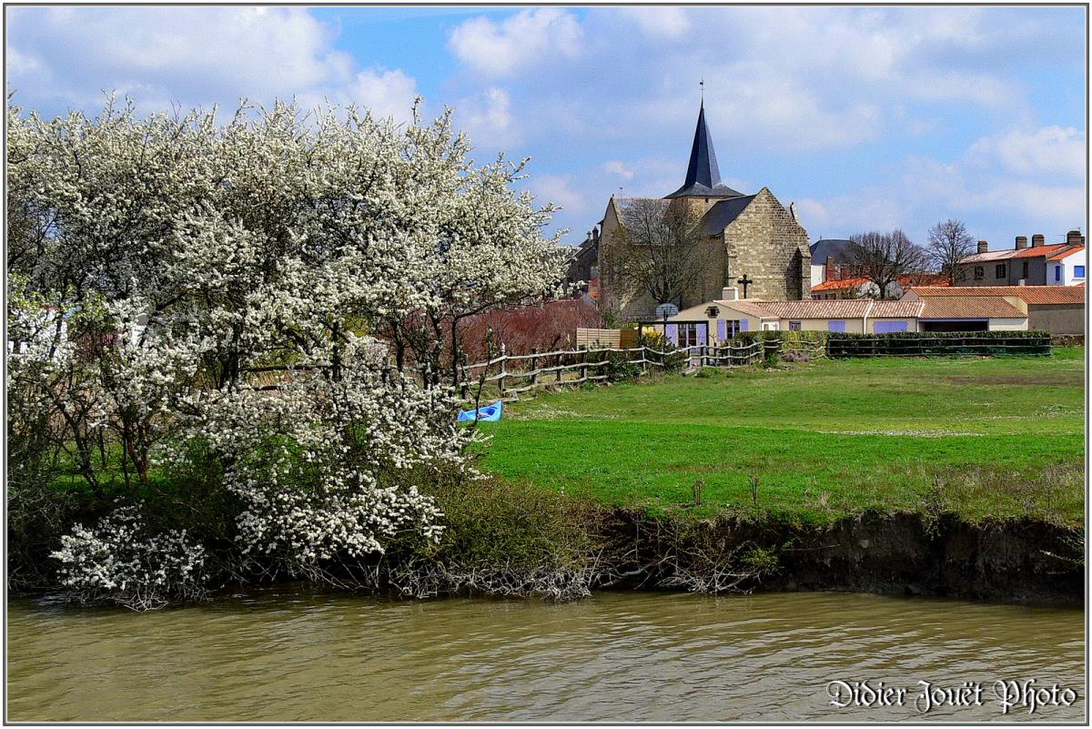 (85) Vendée - Sallertaine (3)