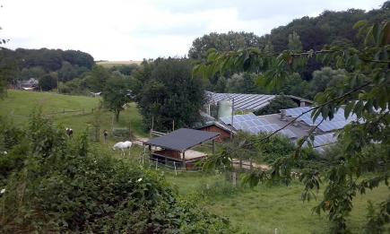 Ein Spaziergang und eine Spazierfahrt durch die Heimat: Solingen, Leichlingen, Opladen & die Balkantrasse