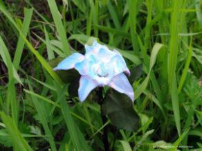 Première histoire [10/07/17]