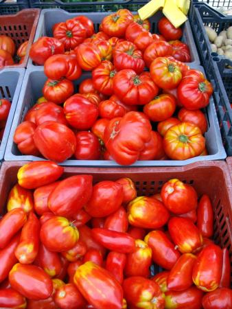 Marche_des_halles_et_de_la_terrasse__10