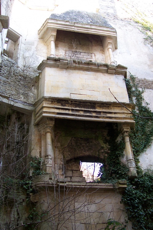 Le château de Rochefort, à Asnières en Montagne..