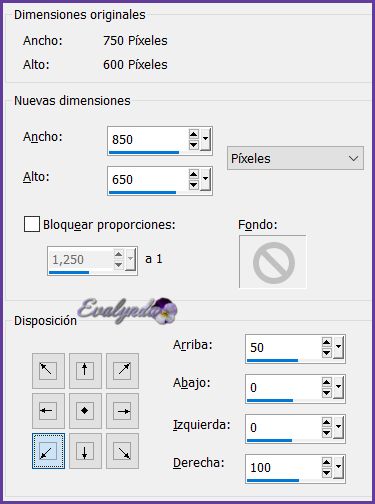 - Carnaval 2019 -