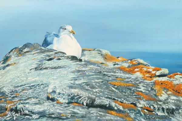 Peintures de : Bernard Guedon