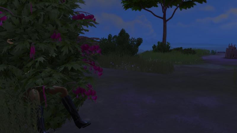 Semaine 1 - Quartier Willow Creek - Foyer Gothik