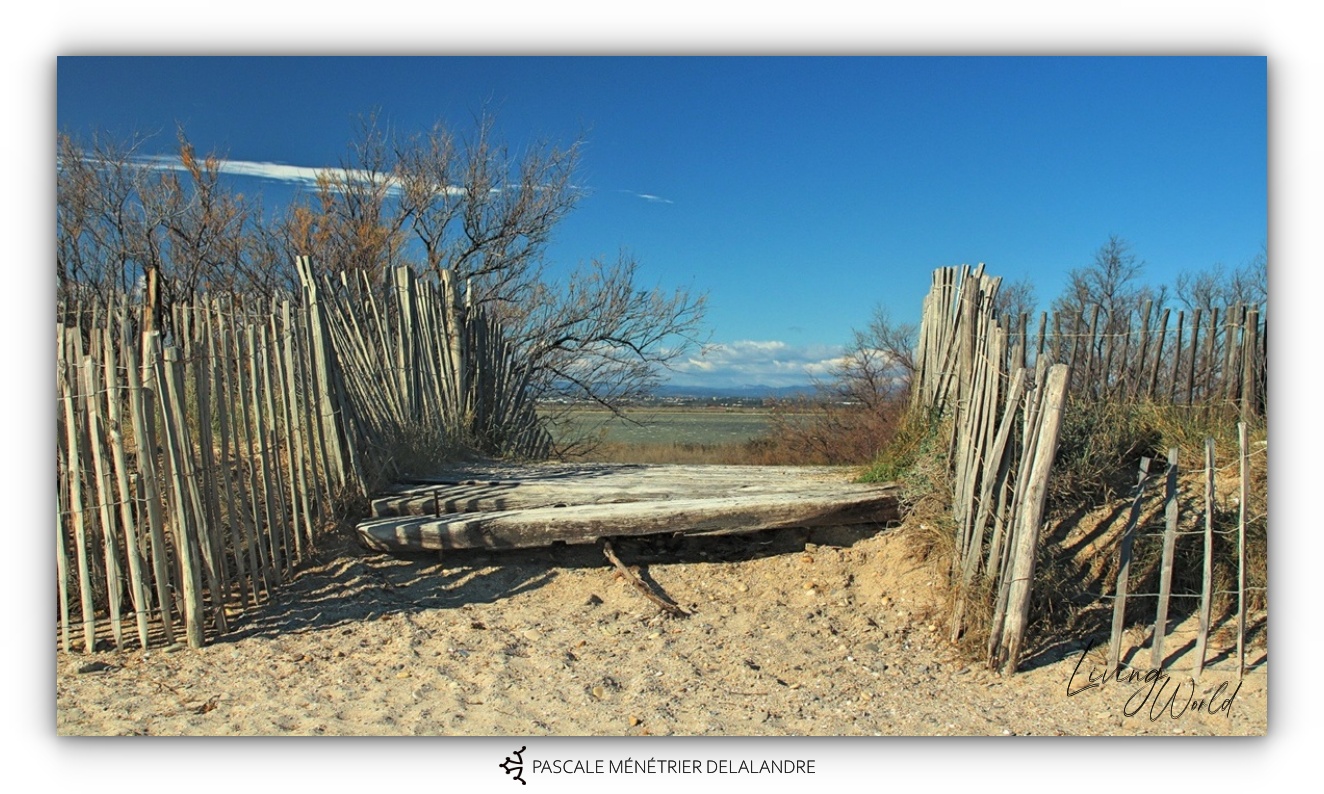 Plage de Villeneuve-lès-Maguelone