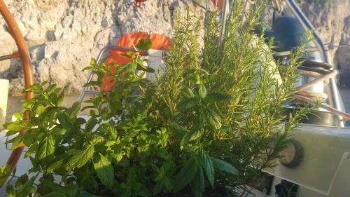 Le regard du géologue