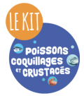  Listing des kits par voie postale