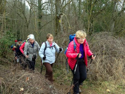 "Combe à La Serpent" - Mercredi 27 janvier 2016