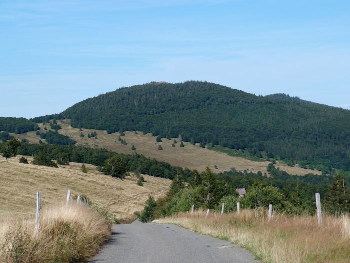 Département des Vosges