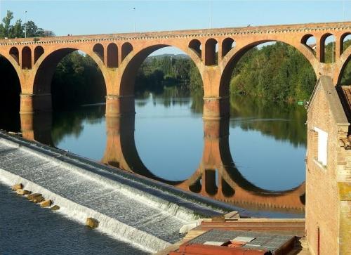 Albi  (Tarn)