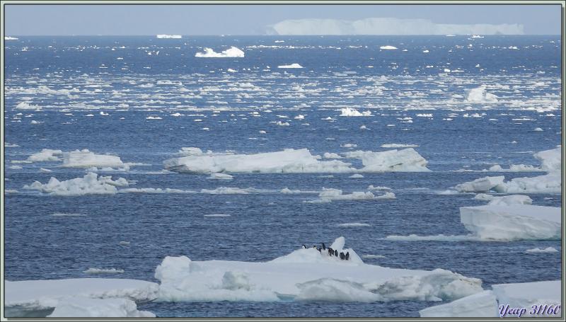03/03/2022 : navigation très monotone entre Mer de Ross et Mer d'Amundsen - Antarctique