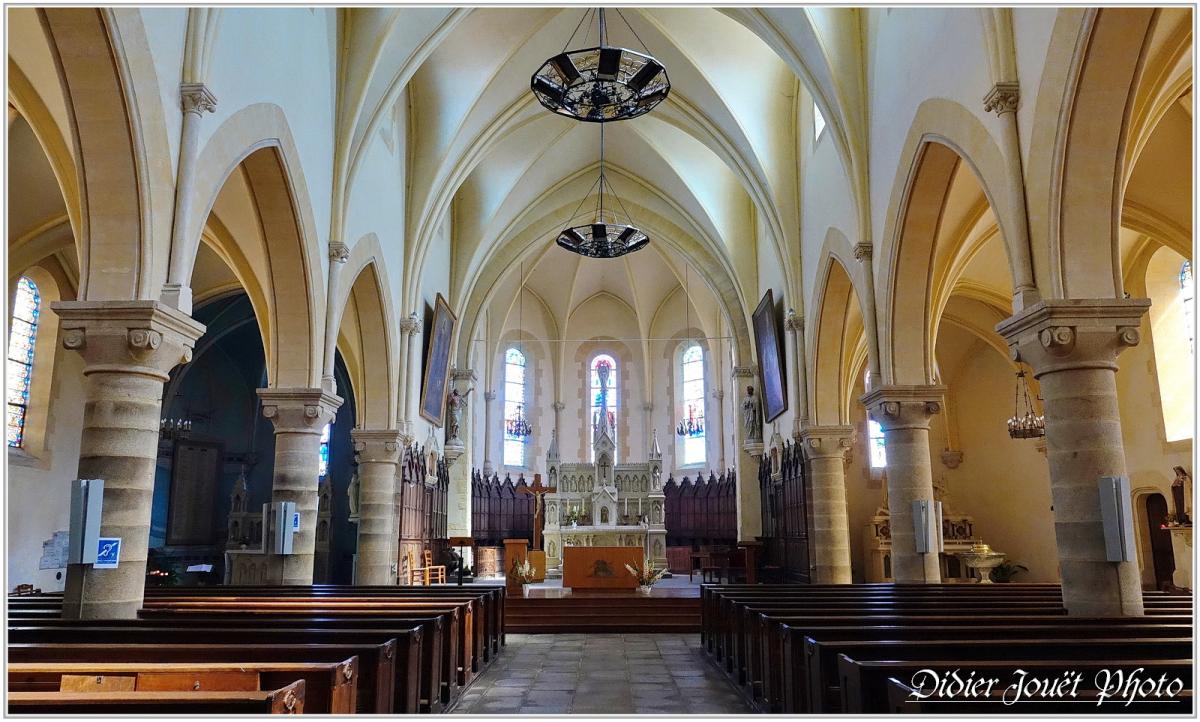 85 . Vendée - Les Essarts (5) - Eglise St Pierre