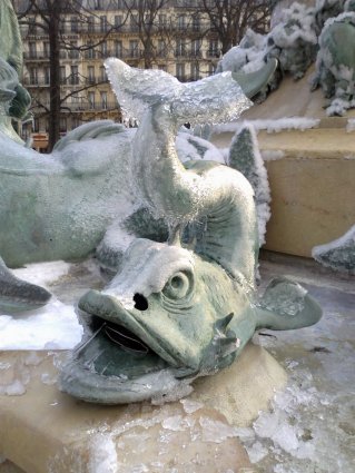 Image28.jpg