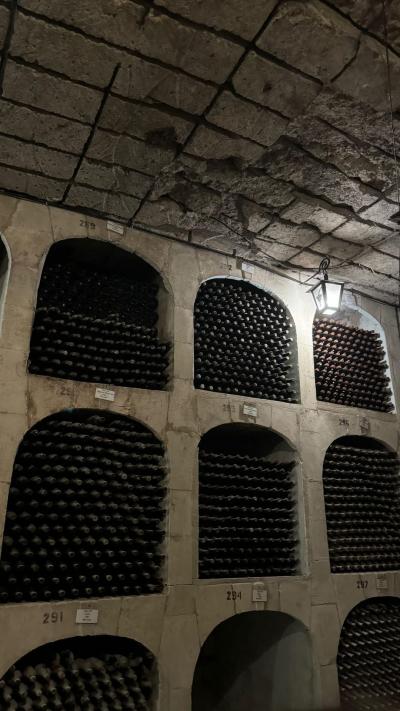 Moldavia - Route des vins -- 