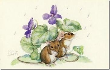 Modeste violette ...