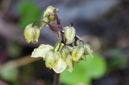 Le printemps s'installe en avril