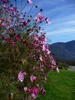 Lundi en une, deux, trois, quatre, (ou plus) photos
