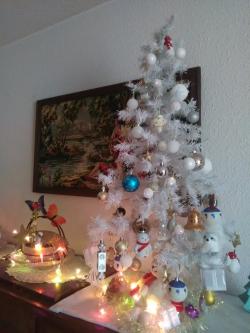 Sapin,  Oui mais pleins de sapiiiinnnnns !