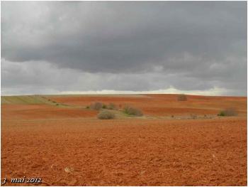 (J29) Mansilla de las Mulas / Calzadilla 3 mai 2012 (2)