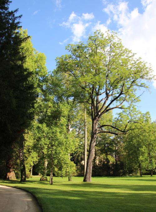 expostion d'art contemporain dans le jardin anglais du château de Fontainebleau