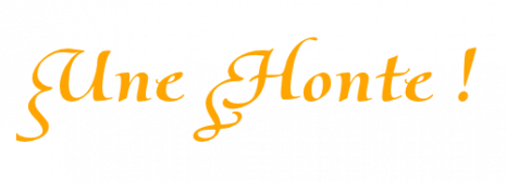 *☆*:;;;;;:*☆*  Honteux !! *☆*:;;;;;;:*☆*