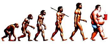 Evolution de l'homme vers l'obÃ©sitÃ©...