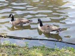  * Au Domaine de Bourgogne
