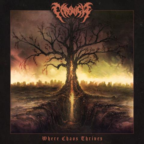 CHRONICLE - Les détails du nouvel album Where Chaos Thrives