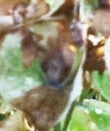 La page de Ludovic Demaret