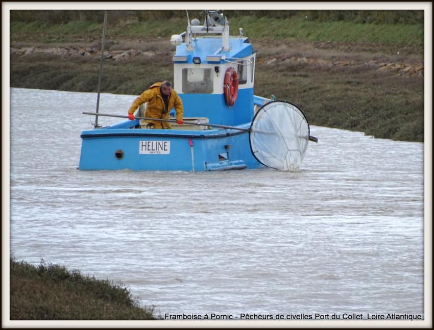 Pêcheurs de civelles au Port du collet - 44 - 2018