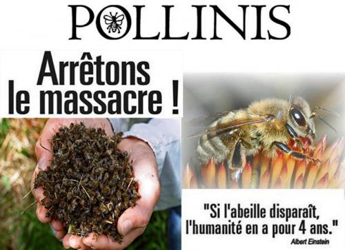 Des bzzzz.....qui font le buzz........