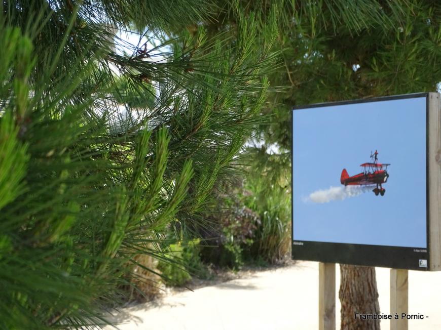 Expo photos Outdoor ria de Pornic - 2019