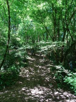 CR / RANDO 15 - RIONS - Lac de Laromet