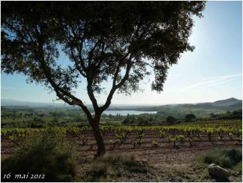 (J42) Navarrete / Viana 16 mai 2012 (1)