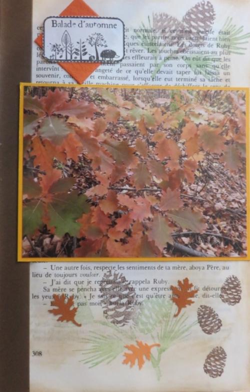 Scrap d'automne