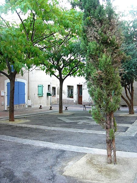 DSCN0792