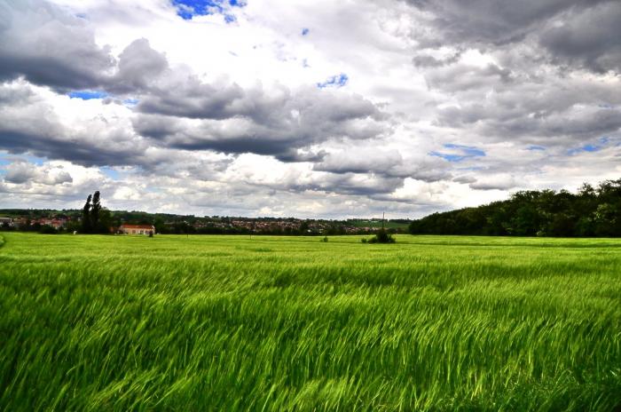 Département de la Haute Garonne