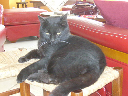 IMGP0045.JPG