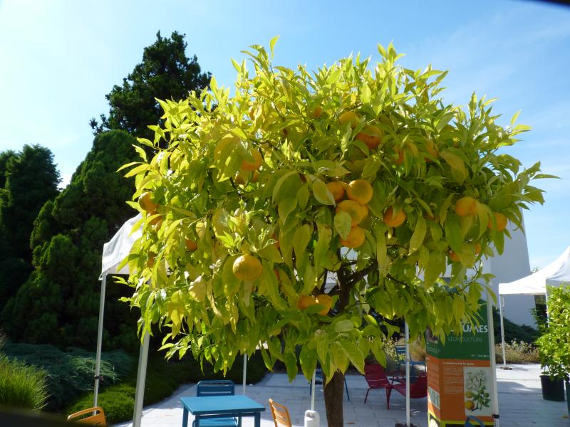 Le Jardin Jean-Marie Pelt à Villers-les-Nancy/3
