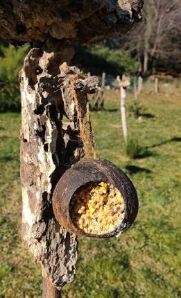 Deux boules aux quantités semblables par jour.